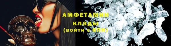 гидра Елабуга