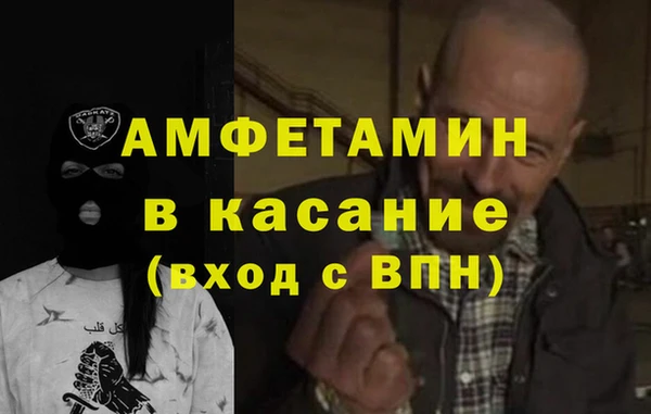 гидра Елабуга