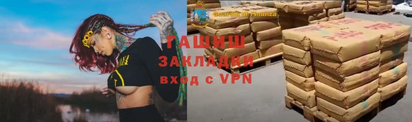 гидра Елабуга