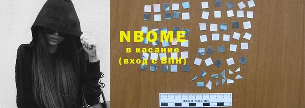 гидра Елабуга