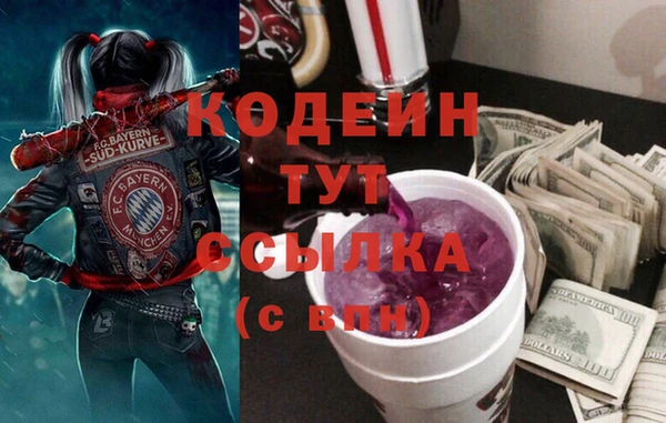 гидра Елабуга
