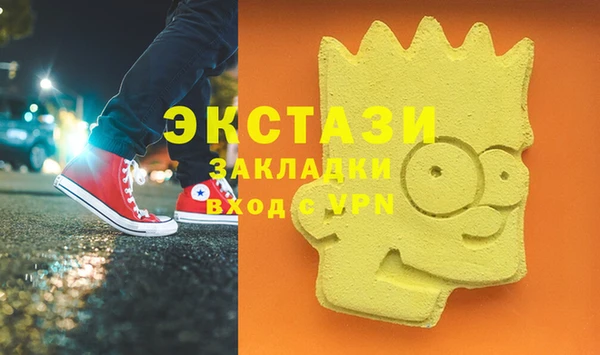 гидра Елабуга
