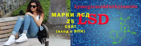 гидра Елабуга