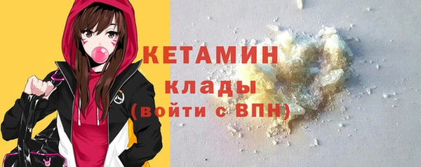 гидра Елабуга