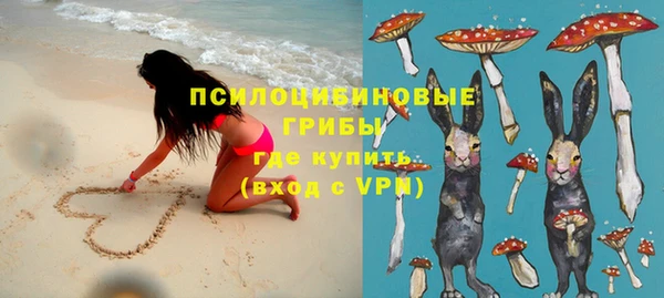 трава Елизово