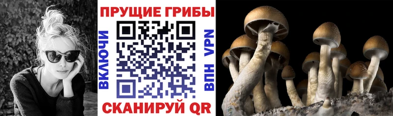 Галлюциногенные грибы Cubensis  площадка какой сайт  Инта  МЕГА ONION 